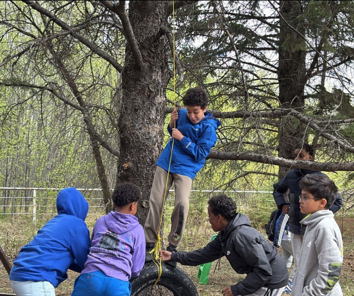Campers playing on a tire swing in the woods